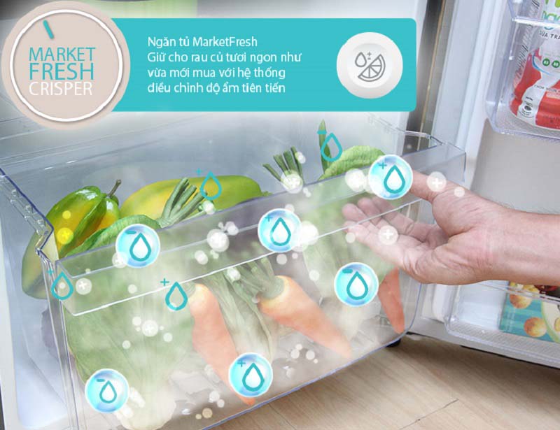 Tủ lạnh Electrolux ETB2100MG sở hữu ngăn rau củ MarketFresh Tủ lạnh Electrolux ETB2100MG sở hữu ngăn rau củ MarketFresh