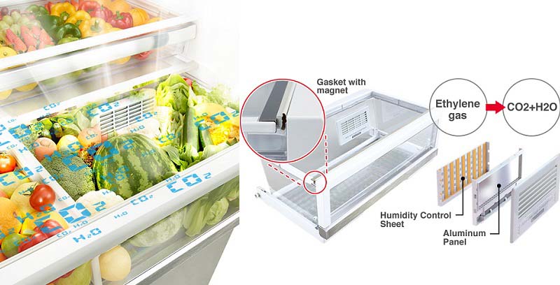 Công nghệ bảo quản rau quả Aero-care hiện đại Công nghệ bảo quản rau quả Aero-care hiện đại