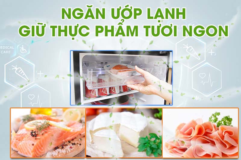 thực phẩm luôn được tươi ngon nhờ tủ lạnh Panasonic NR-BN201GKVN thực phẩm luôn được tươi ngon nhờ tủ lạnh Panasonic NR-BN201GKVN