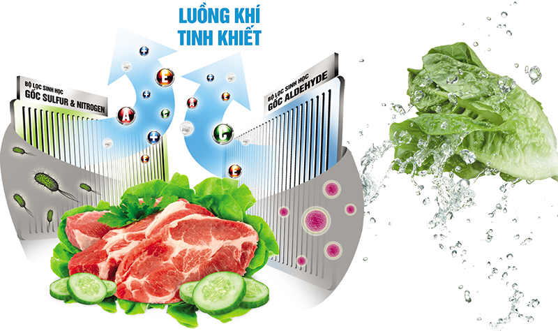 Khử mùi diệt khuẩn tối ưu Khử mùi diệt khuẩn tối ưu