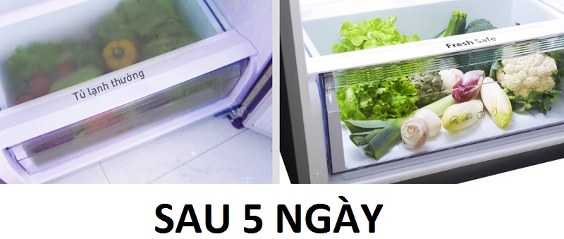 Ngăn rau của chuyên dụng Fresh Safe cho rau củ tươi ngon như mới Ngăn rau của chuyên dụng Fresh Safe cho rau củ tươi ngon như mới