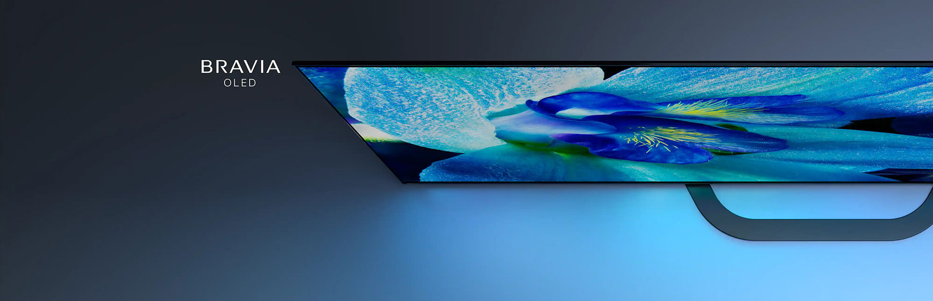Dòng sang trọng OLED TV