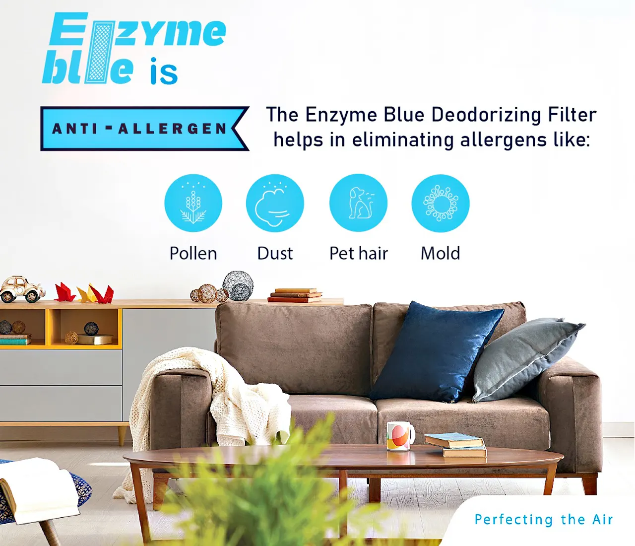 Enzyme blue store filter daikin