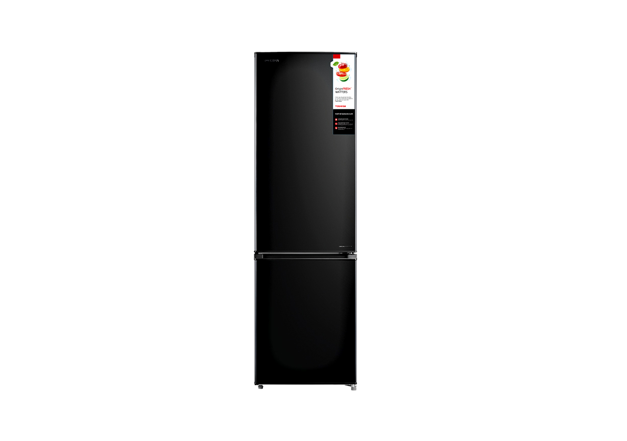 Tủ lạnh Toshiba ngăn đá dưới 2 cửa Inverter 270 Lít GR-RB350WE-PMV(30)-BS