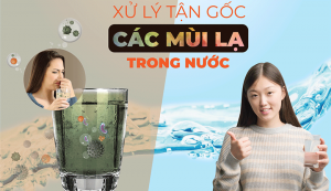 Máy lọc nước RO Karofi K8RO-H