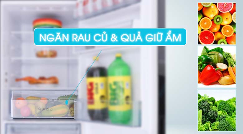 Ngăn rau quả giữ ẩm - Tủ lạnh Aqua Inverter 260 lít AQR-IG298EB GB