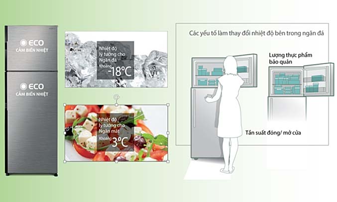 Tủ lạnh Hitachi 290 lít R-H350PGV7 (BSL) làm lạnh cực nhanh