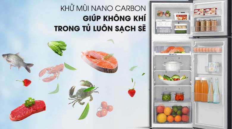Công nghệ khử mùi Nano Cacbon - Tủ lạnh LG Inverter 208 lít GN-M208BL