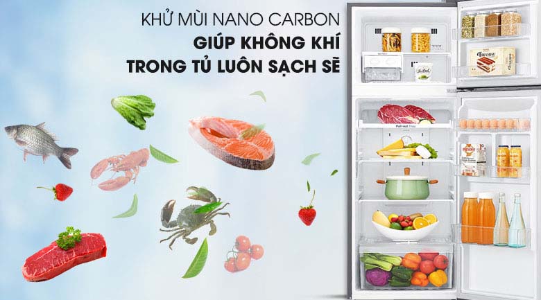 Công nghệ khử mùi Nano Cacbon - Tủ lạnh LG Inverter 255 lít GN-M255BL