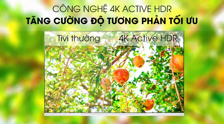 4K Active HDR - Smart Tivi OLED LG 4K 55 inch 55E9PTA Mẫu 2019