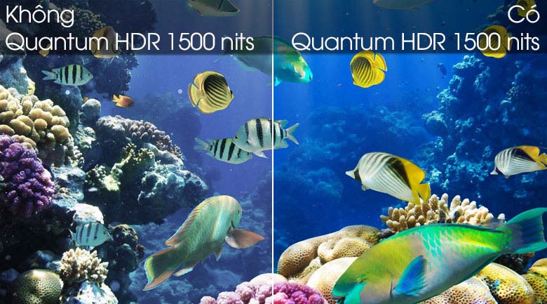 Quantum HDR - Smart Tivi QLED Samsung 4K 55 inch QA55Q80T