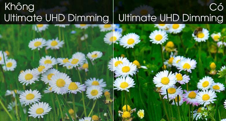 Smart Tivi QLED Samsung 4K 65 inch QA65Q95T - Ultimate UHD Dimming