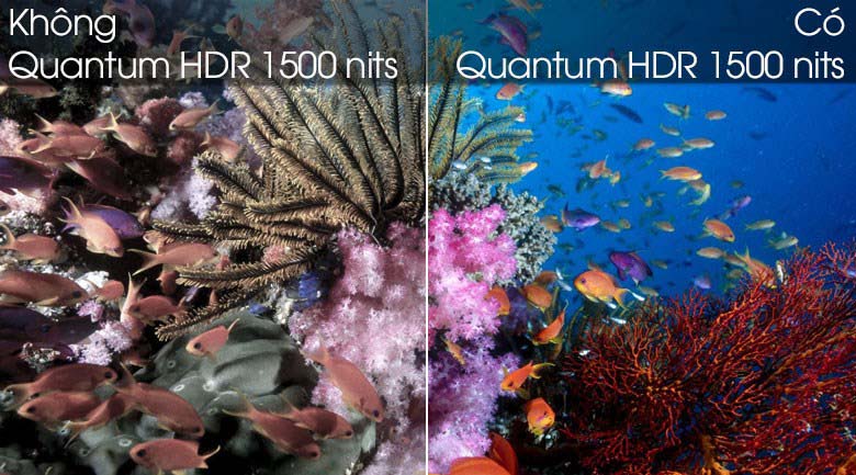Quantum HDR 1500 nits-Smart Tivi QLED Samsung 4K 85 inch QA85Q80T