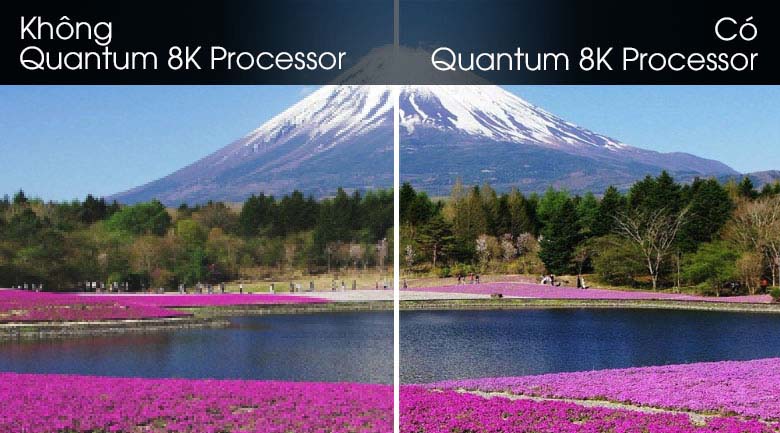 Quantum 8K Processor-Smart Tivi QLED Samsung 8K 82 inch QA82Q800T