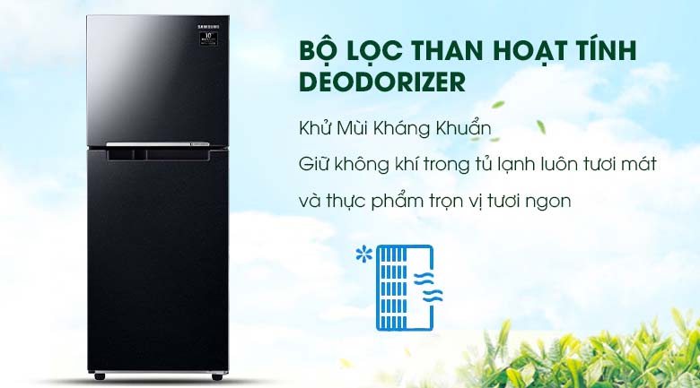 Bộ lọc than hoạt tính Deodorizer - Tủ lạnh Samsung Inverter 208 lít RT20HAR8DBU/SV