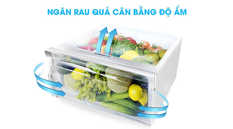 Ngăn rau quả cân bằng độ ẩm - Tủ lạnh Samsung Inverter 208 lít RT20HAR8DBU/SV