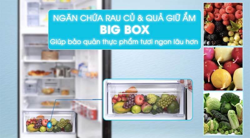 Tủ lạnh Samsung Inverter 236 lít RT22M4032BU/SV-Giữ rau củ tươi ngon, bảo quản lâu hơn trong ngăn cân bằng độ ẩm Big Box 