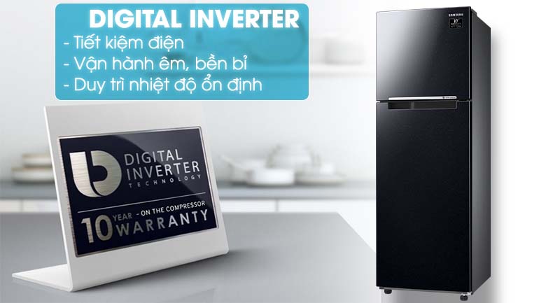 Digital Inverter - Tủ lạnh Samsung RT25M4032BU/SV