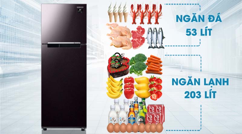 Tủ lạnh Samsung Inverter 256 lít RT25M4032BY/SV-Dung tích 256 lít, phù hợp gia đình nhỏ, khoảng 2 - 3 thành viên