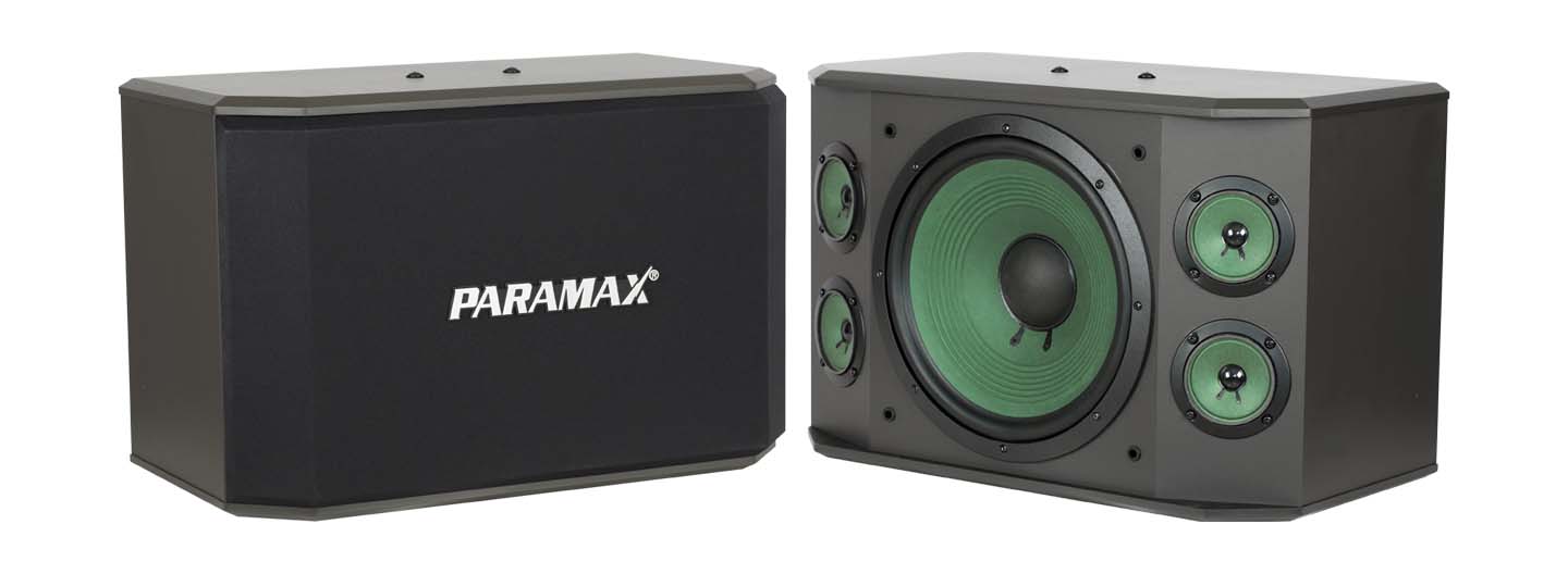 Loa karaoke Paramax K-1000