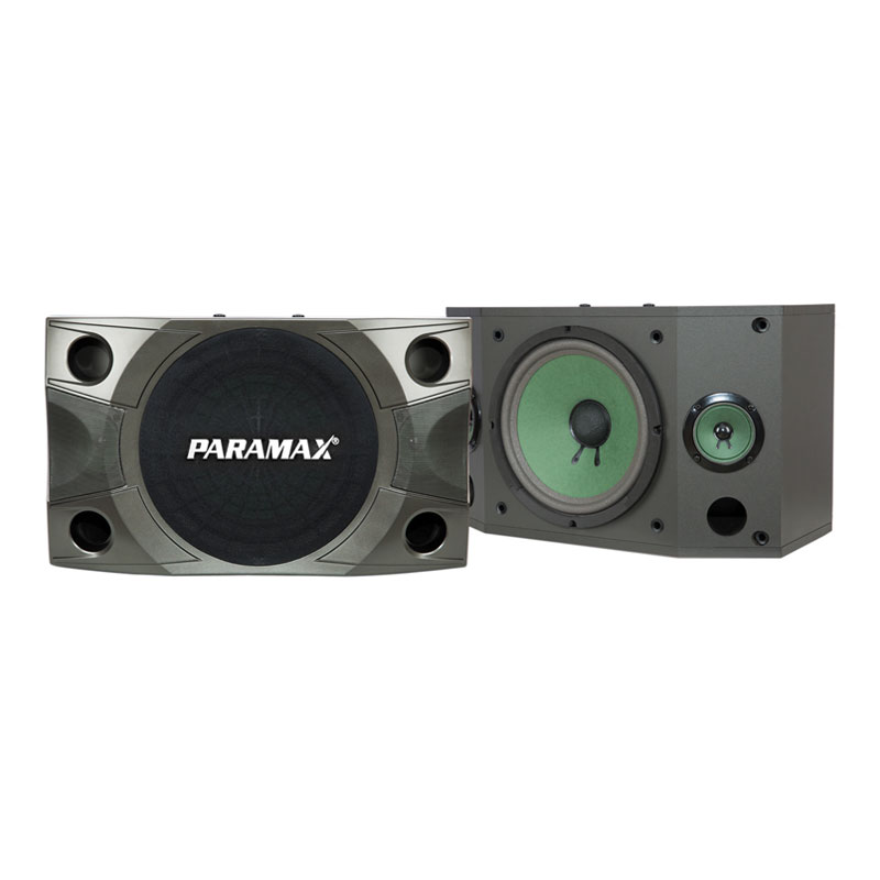 Loa karaoke Paramax P-850