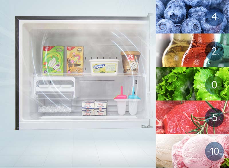 Tủ lạnh Toshiba GR-HG55VDZ XK với ngăn đông có chất xúc tác khử mùi độc đáo