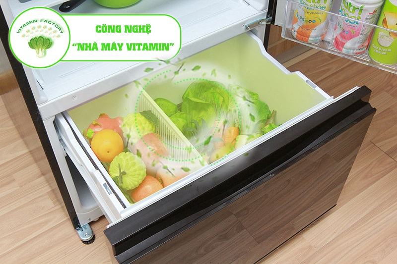 Tủ lạnh Mitsubishi Electric MR-V50EH-BRW có ngăn rau củ như một nhà máy Vitamin C
