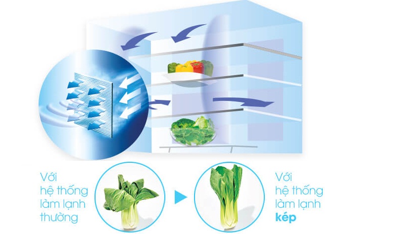 Hệ thống làm lạnh kép mang hơi lạnh tỏa đều mọi nơi trong tủ, bảo quản thực phẩm tối ưu